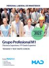 Personal Laboral De Ministerios Grupo Profesional M1 (técnicos Superiores/fp Grado Superior)