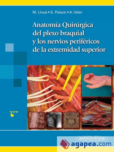 Anatomía quirúrgica del plexo braquial y nervios periféricos de la extremidad superior