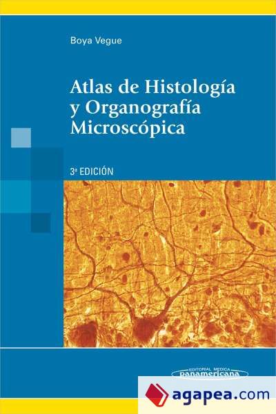 Atlas De Embriologia Clinica Keith L Moore T V N Persaud Koei Shiota 9788479032401 