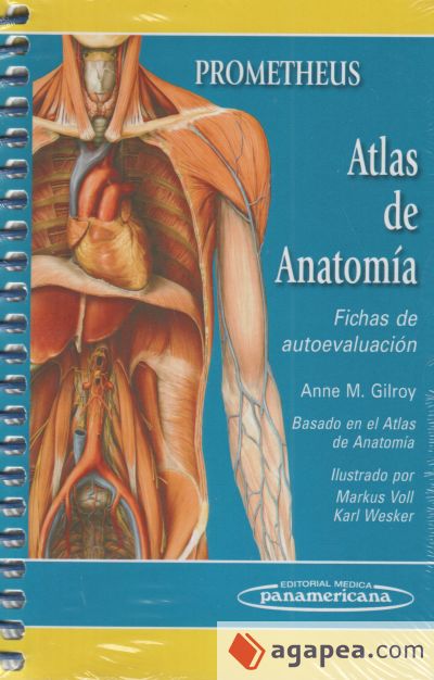 Atlas de anatomía