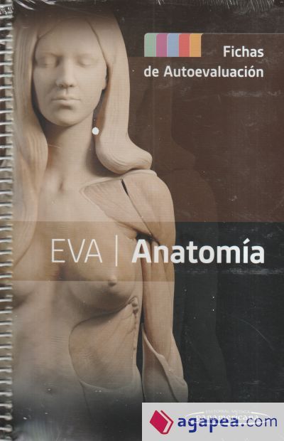 EVA | Anatom&iacute;a. Fichas de autoevaluaci&oacute;n