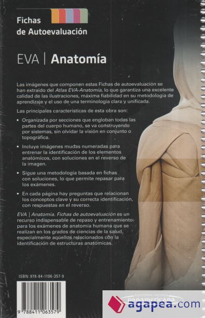 EVA | Anatom&iacute;a. Fichas de autoevaluaci&oacute;n