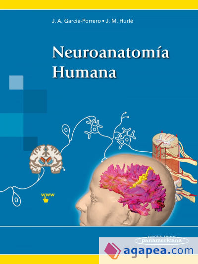 Neuroanatomía Humana+versión digital