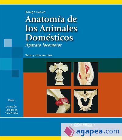 Anatomía de los animales domésticos. Tomo I. Aparato locomotor. Texto y atlas en color