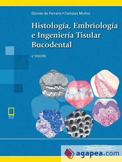 Histología, embriología e ingeniería tisular bucodental