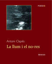 Portada de La llum i el no-res