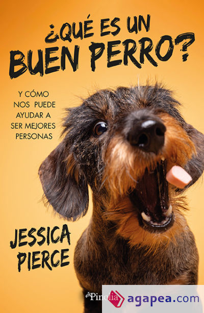 ¿Qué es un buen perro?