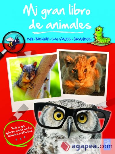 Mi gran libro de animales azul