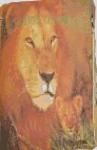 Portada de PEQUE&Ntilde;OS ANIMALES