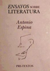 Portada de  Ensayos sobre literatura