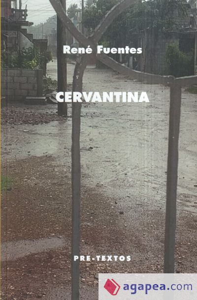 Cervantina