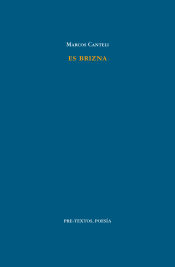 Portada de Es brizna