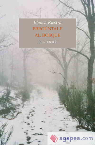 Pregúntale al bosque