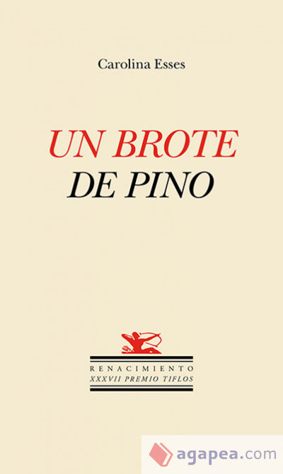 Un brote de pino