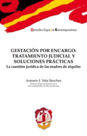 Portada de Gestaci&oacute;n por encargo. Tratamiento judicial y soluciones pr&aacute;cticas
