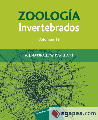 Zoología. Invertebrados. Vol. 1B