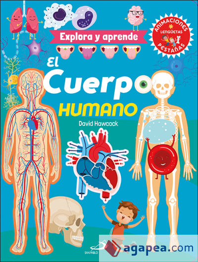 El cuerpo humano: Explora y aprende