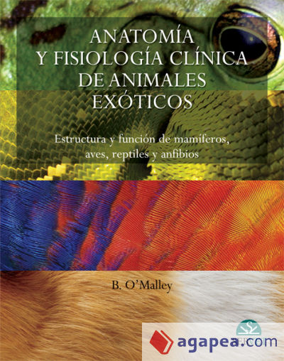 Anatomía y fisiología clínica de animales exóticos