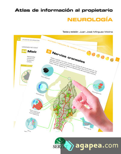 Atlas de información al propietario. Neurología