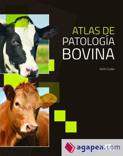 Atlas patología bovina