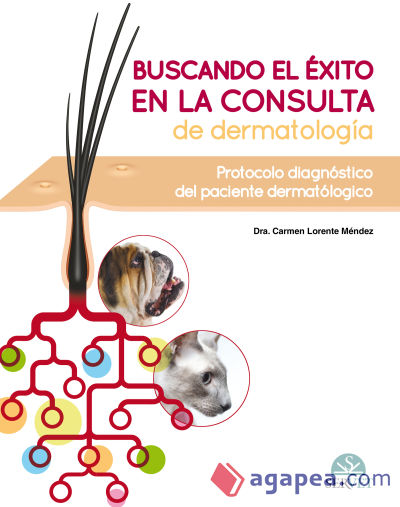 Buscando el éxito en la consulta de dermatología