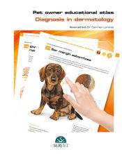 Portada de Diagnosis in dermatology