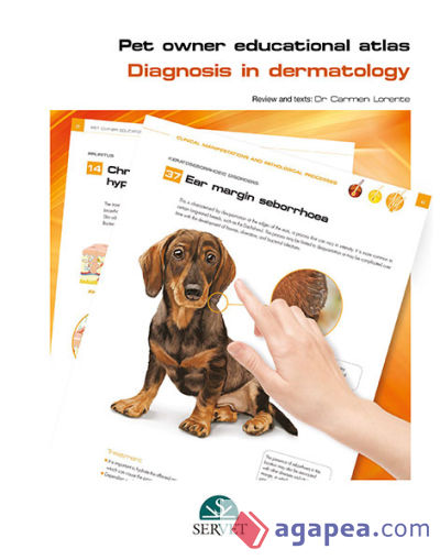 Diagnosis in dermatology