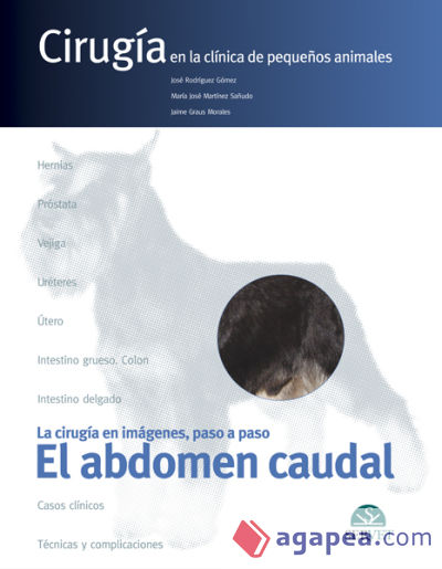 El abdomen caudal