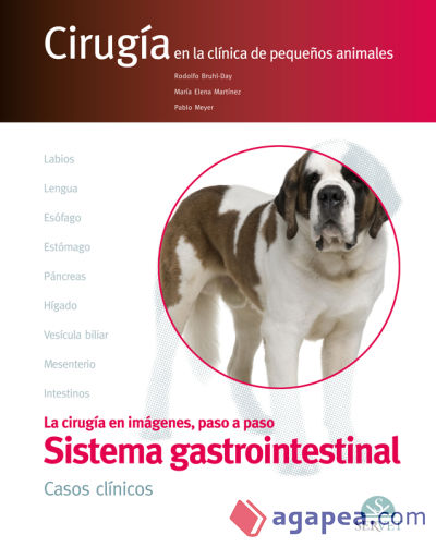 El aparato digestivo. CASOS CLÍNICOS. Cirugía en la clínica de pequeños animales