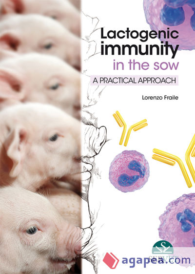 Lactogenic immunity in the sow