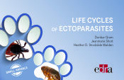 Portada de Life Cycles of Ectoparasites in Small Animals