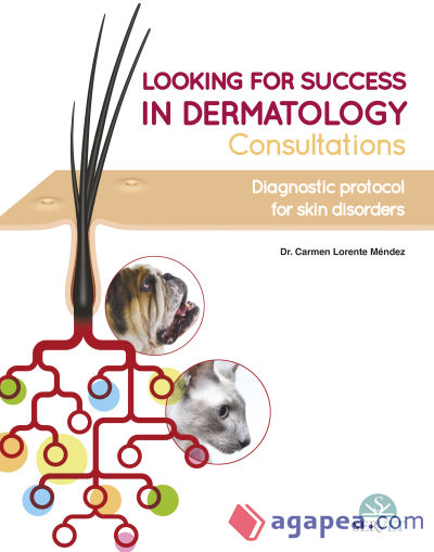 Looking for Success in Dermatology Consultations. Diagnostic Protocol for Skin Disorders