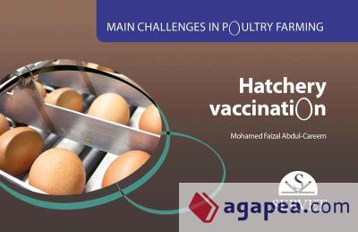 Main challenges in poultry farming. Hatchery vaccination