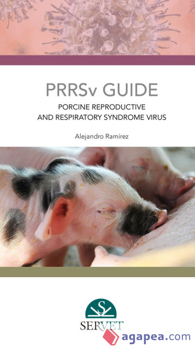 Porcine reproductive and respiratory syndrome PRR