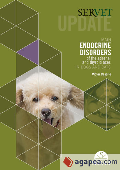 Servet update. Main endocrine disorders of the adrenal and thyroid axes in dogs and cats