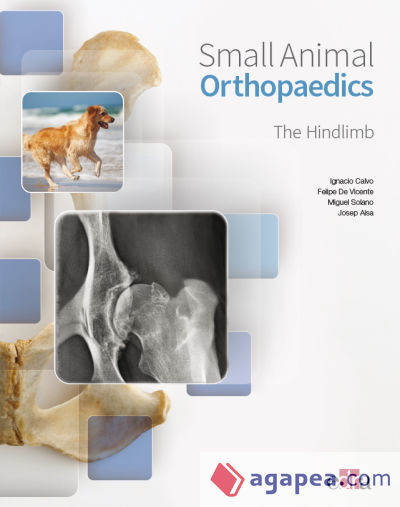 Small animal orthopaedics. The hindlimb