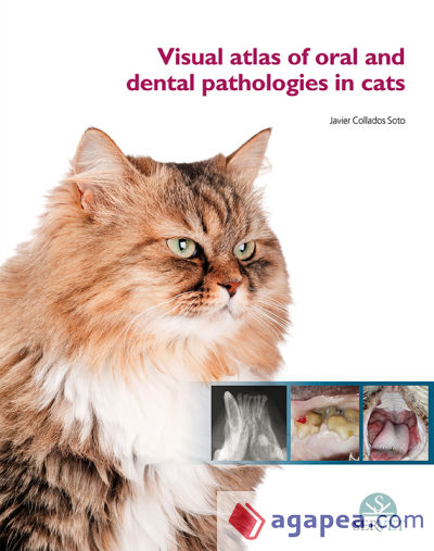 Visual atlas of oral and dental pathologies in cats