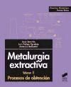 Portada de Metalurgia extractiva. Vol. II: Procesos de obtenciÃ³n