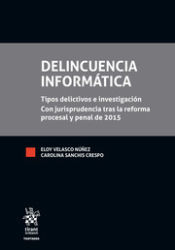 Portada de Delincuencia Informatica