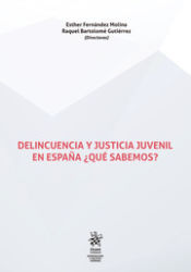 Portada de Delincuencia y Justicia Juvenil en España ¿Qué Sabemos?