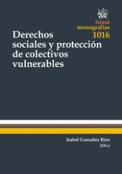 Portada de Derechos Sociales y Protección de Colectivos Vulnerables Técnicas de Tutela