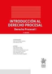 Portada de Introducción al Derecho Procesal. Derecho Procesal I 2ª Edición