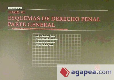 Tomo VI Esquemas de Derecho penal Parte general