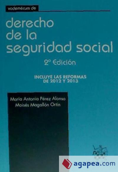 Vademécum de Derecho de la Seguridad Social 2ª Ed. 2013