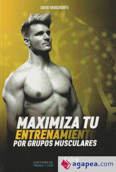 MAXIMIZA TU ENTRENAMIENTO POR GRUPOS MUSCULARES