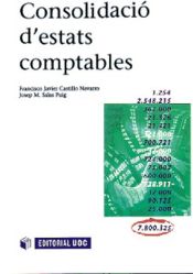 Portada de Consolidació d'estats comptables