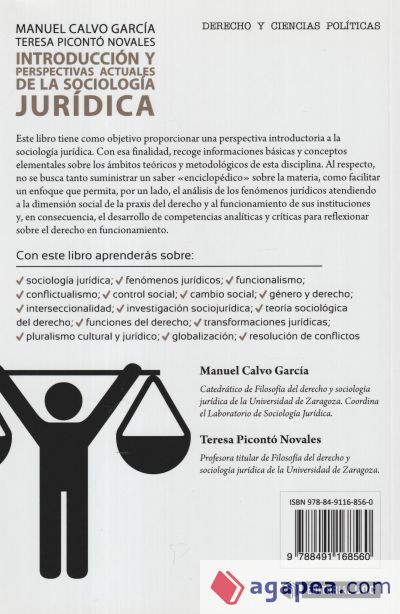 Introducción y perspectivas actuales de la Sociología jurídica