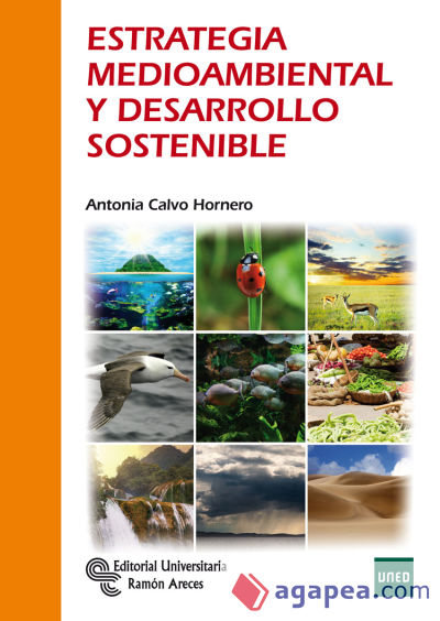 Estrategia medioambiental y desarrollo sostenible