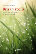 Portada de Brisa y rocío (Ebook)