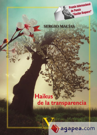 Haikus de la transparencia